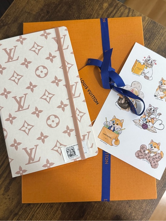 Louis Vuitton Accessories - NEW LOUIS VUITTON Monogram Dune Jane Notebook MM with Stickers